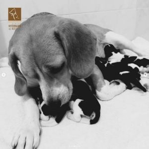 Screenshot-2022-01-18-145658